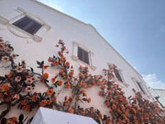 -普吉镇