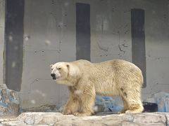 -大连圣亚海洋世界