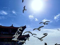 -八仙过海景区