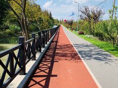 -上海长兴岛郊野公园