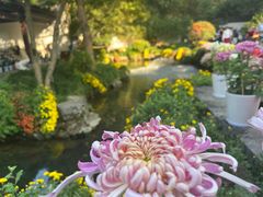 -杭州植物园