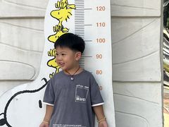 -史努比缤纷世界