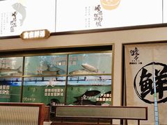 -得意咚瓜·顺德鱼生·冬瓜火锅(深圳首店)