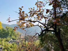 -潭柘寺景区