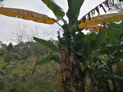 -青芝山风景名胜区