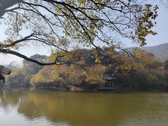-惠山国家森林公园
