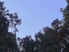 -杭州花家山庄