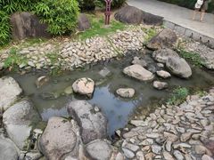 -新虹桥中心花园