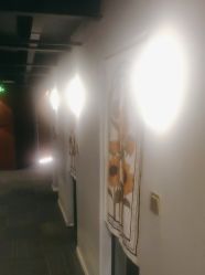 -头等闲·泰洗头颈肩概念体验店