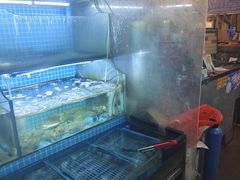 -老东镇啤酒屋海鲜加工·蒸汽海鲜·海鲜烧烤(台东店)