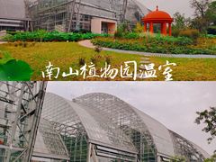 -南山植物园