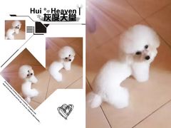 -全心全意动物诊疗中心医院(北苑店)