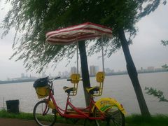 -艾溪湖湿地公园