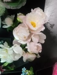 -Oasis Beauty水磨坊科技美肤中心