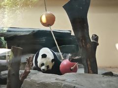-宁波野生动物园