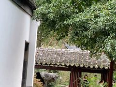 -上海方塔园