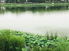 -素心小筑(后沙裕镇店)