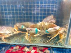 -烧货·活海鲜炭烧(湖滨商业街店)