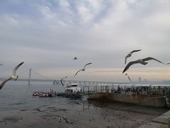 -星海广场
