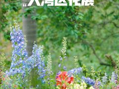 -深圳市中科院仙湖植物园