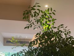 -Peet's 皮爷咖啡(海雅缤纷城店)
