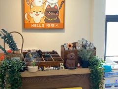 -猫小主咖啡·猫咖cat cafe(福田店)