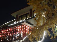 -钦善斋(武侯祠店)