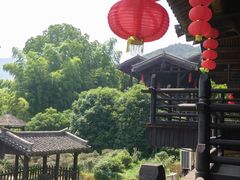 -大唐贡茶院