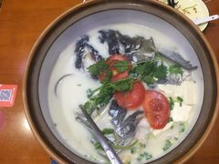 -全乐鱼馆·淳牌有机鱼直营店