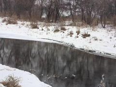 -长春净月潭风景名胜区