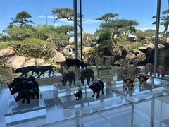 -罗红摄影艺术馆