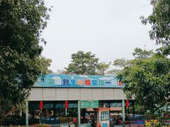 -深圳野生动物园