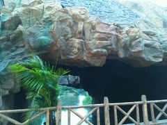 android_upload_pic-上海玛雅海滩水公园