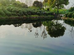 -树山生态村