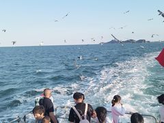 -海驴岛(荣成市)