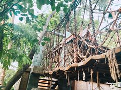 -北京植物园-展览温室