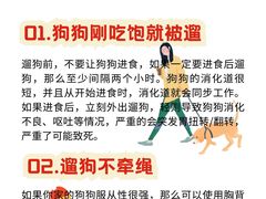 -翊宠yipet猫狗购宠庄园犬舍•猫舍