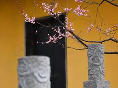 -红梅公园