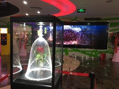 大厅-天幕新彩云国际影城(激光巨幕店)