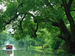 -西溪国家湿地公园