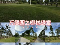 -万绿园