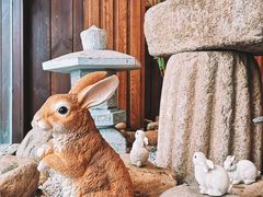 睡猫的牛奶-鱼跃料理(步步高店)