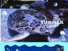 -南昌海洋公园