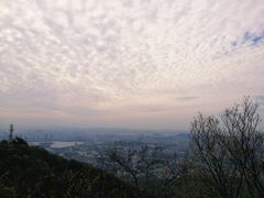 -紫金山山顶公园