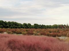 -嘉北郊野公园