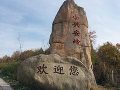 -汤旺河林海奇石景区