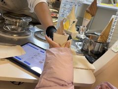 -野人先生现做冰淇淋(北京环宇荟店)