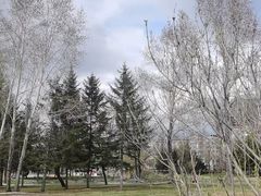 -小龙坎老火锅(北大荒店)