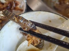 -三里屯土灶炖公鸡地锅鸡(江东店)