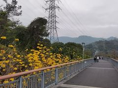 -金鸡山公园